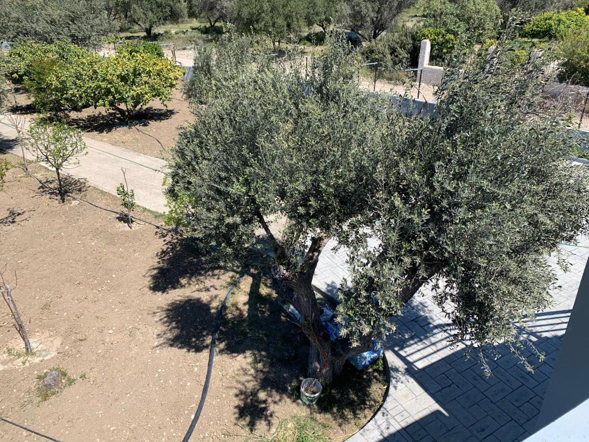 Secret Edem Villa Kolymbia Exteriör bild