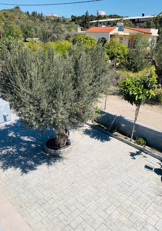 Secret Edem Villa Kolymbia Exteriör bild